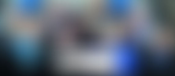 Tiggers In Mass Breach Of Parliamentary Standards?