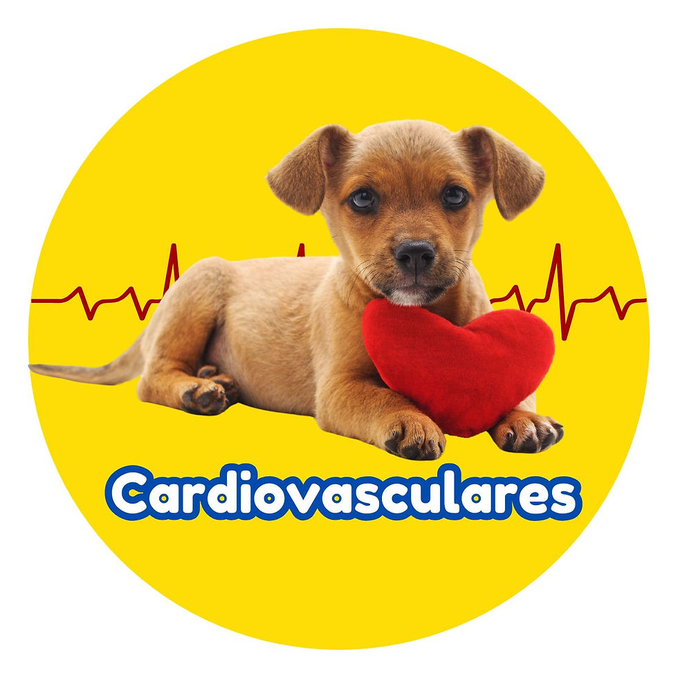 cardiovasculares para perros