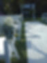 IMG20240413142123.jpg