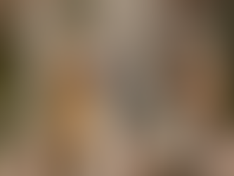 Der Mythos vom Wolf und wann BARF wirklich artgerecht ist