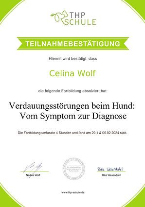 Zertifikat Verdauungsstörungen