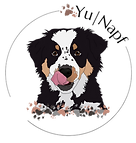 Hundeernährungsberatung YuNapf