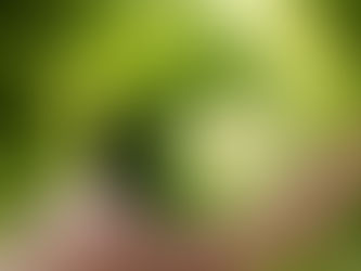Dicas ecológicas para proteger o ambiente