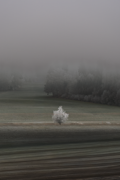 gaetani Photographe Sion
