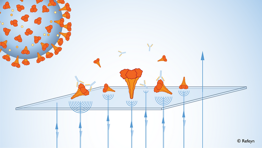 Schematic showing characterisation of the SARS-CoV-2 spike protein in solution using mass photometry