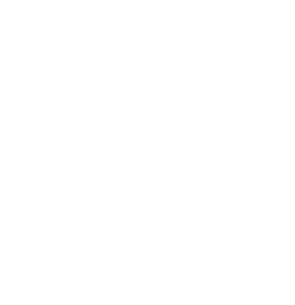 flame_logo_white_transparent.png