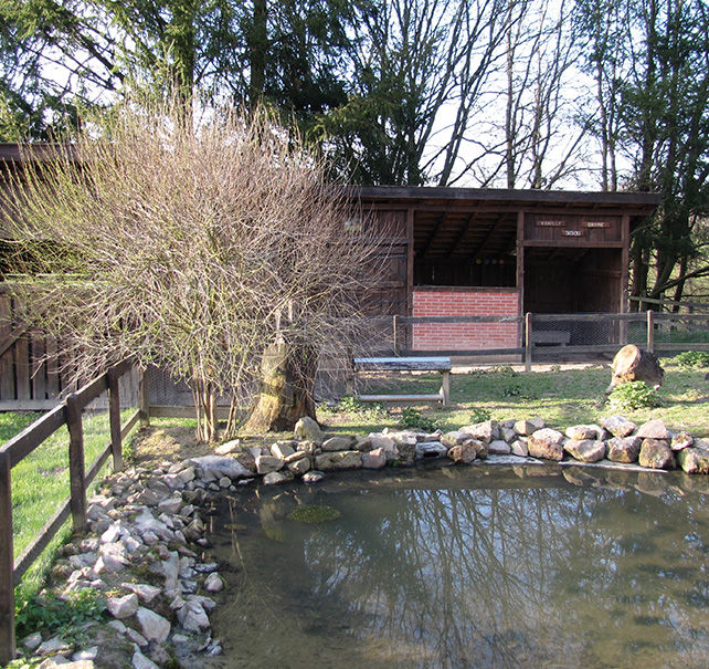 EricCoton_LaValliere5