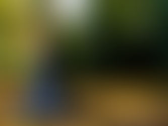 Halloween inspired wedding in Newbury.