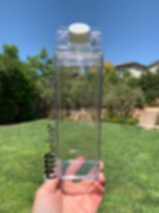 Milk Carton Water Bottle