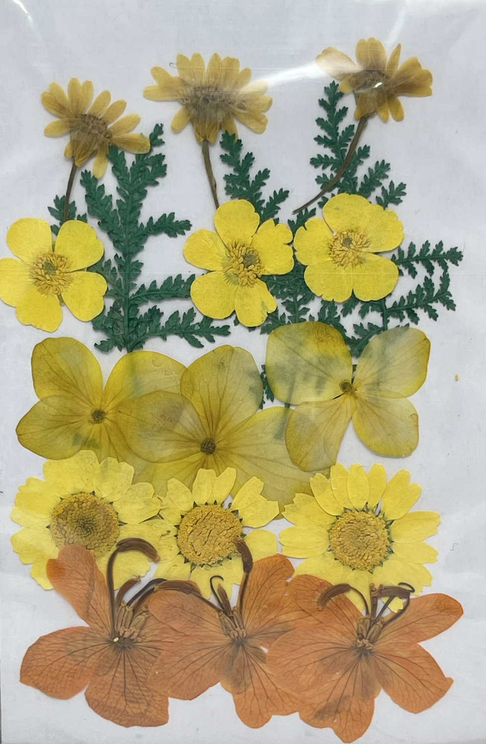 Miniatura: Dried Flowers 18 Piece Set