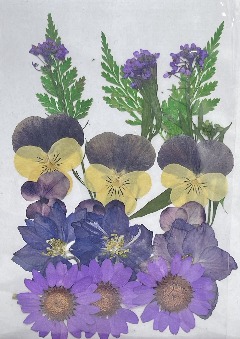 Miniatura: Dried Flowers 18 Piece Set