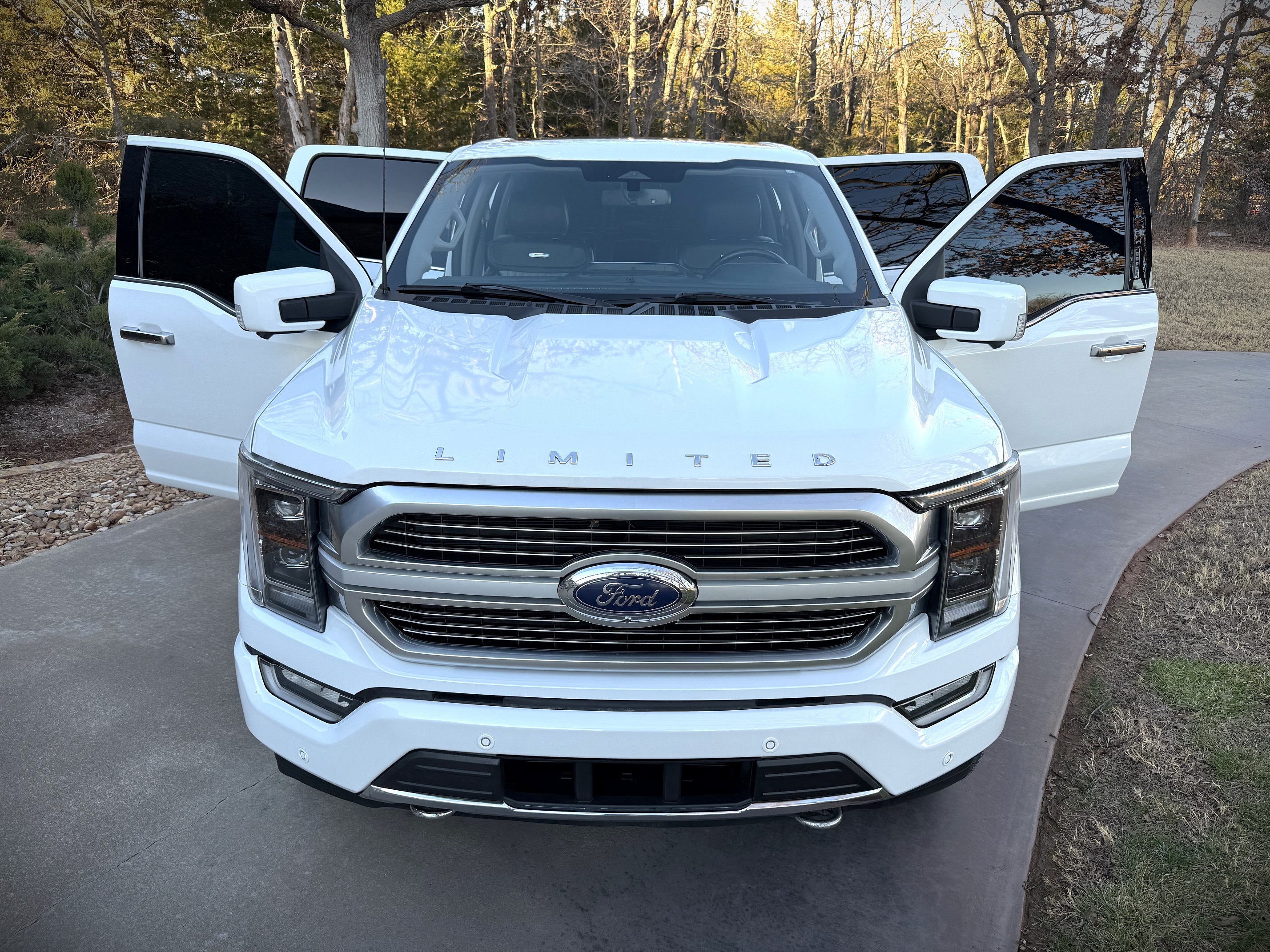 2021 Ford F-150 Limited's photo