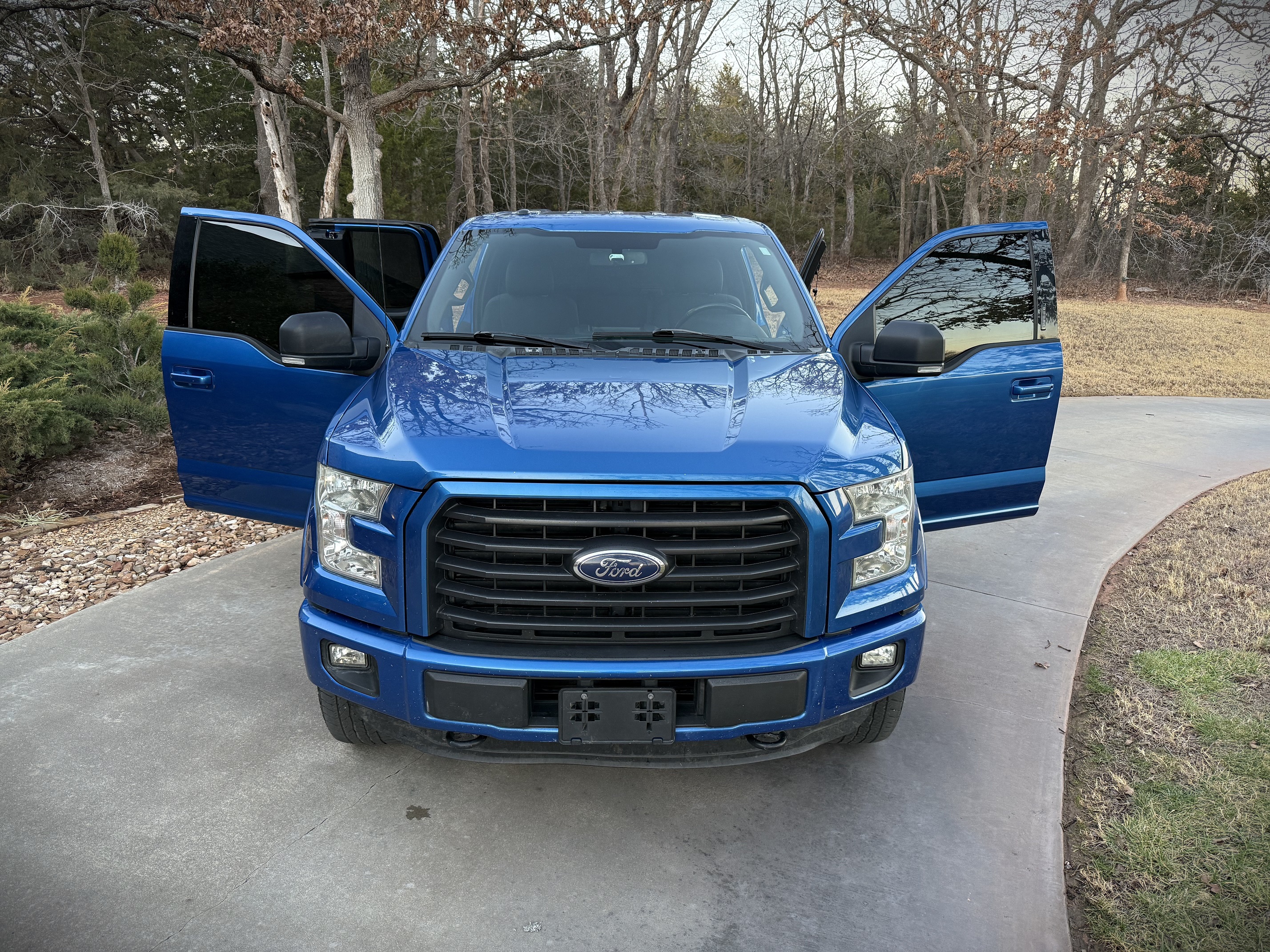 2015 Ford F-150 XLT's photo