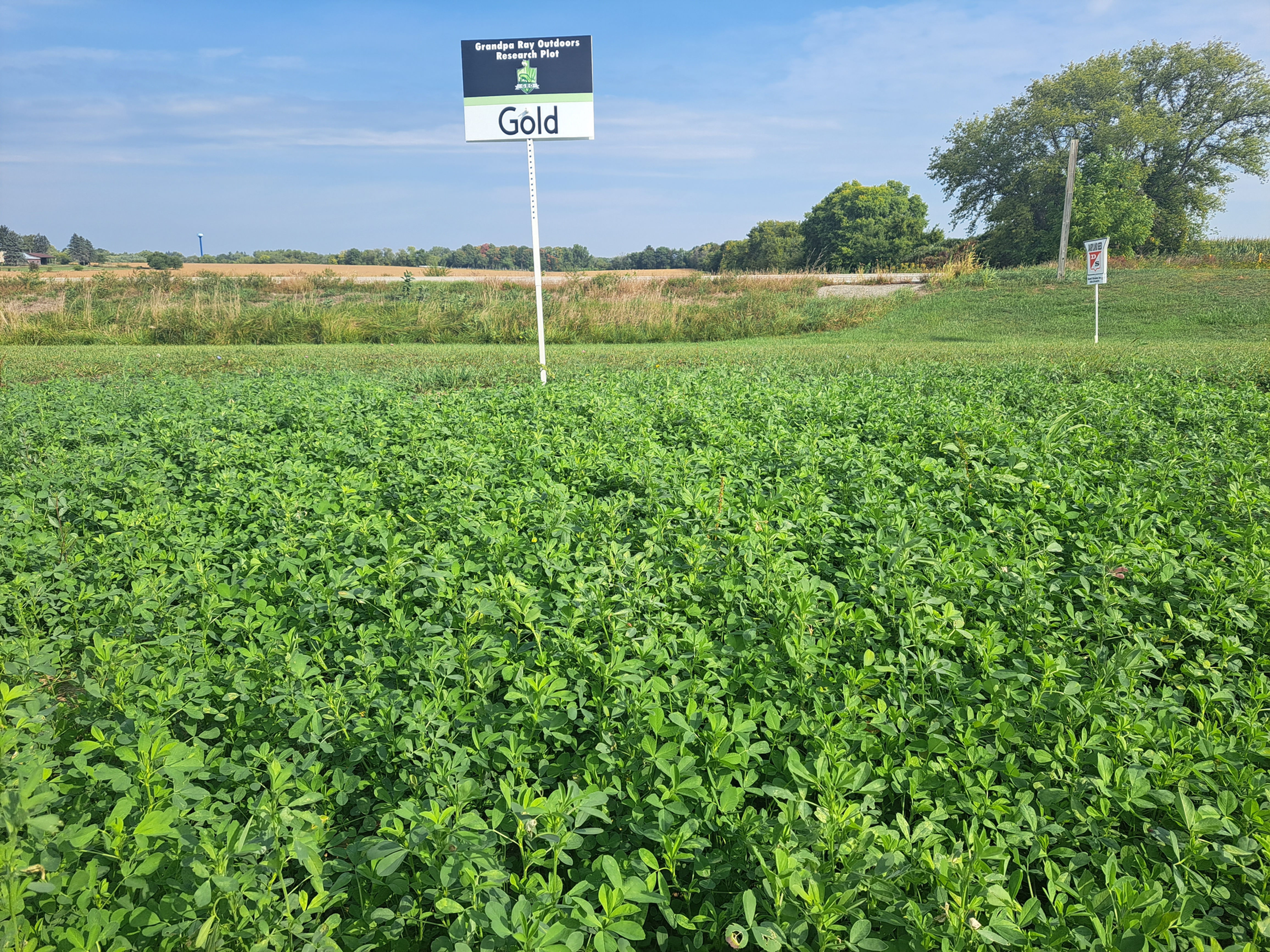 GOLD 25lbs. (2 acre bag)