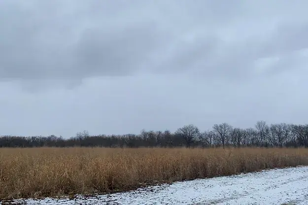 Sanctuary Blend 1-acre bag