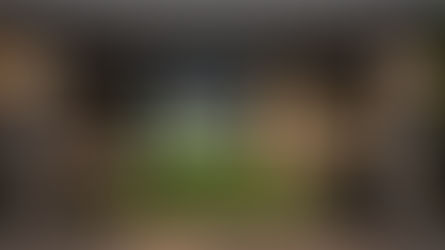 CREATE THE ULTIMATE SIMULATOR GARAGE CONVERSION: TRANSFORM YOUR GARAGE INTO A MULTI‑SPORT ENTERTAINMENT AREA