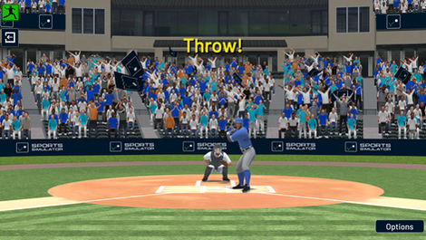 Baseball Simulator - Pitcher - Sports Simulator