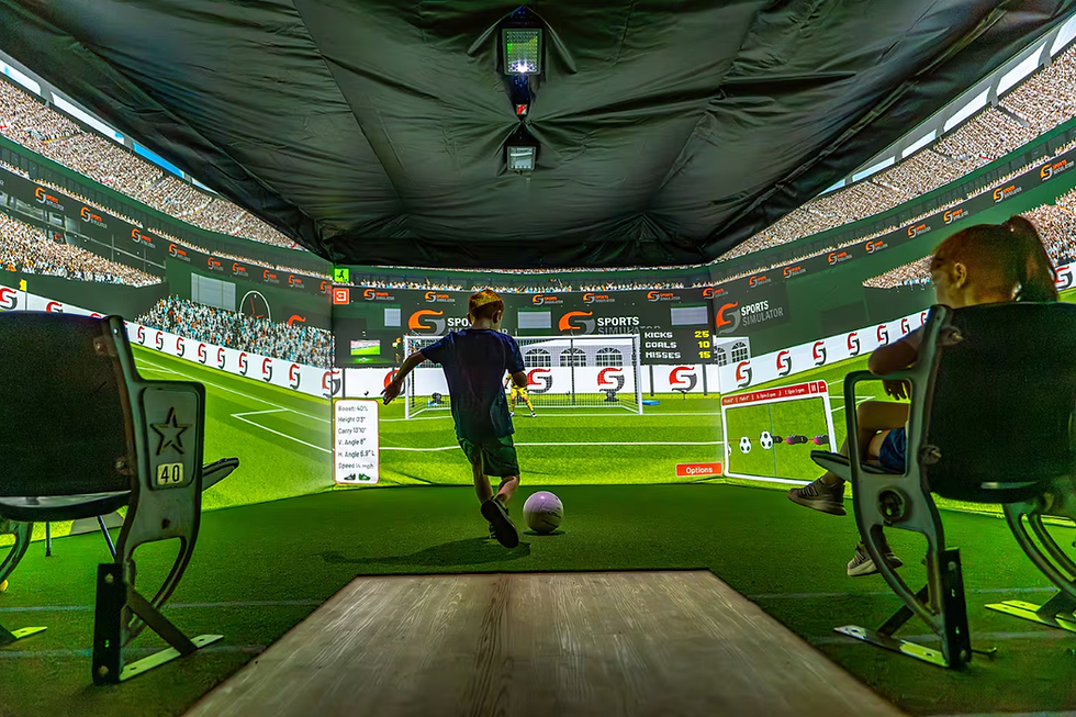 Family Entertainment Centres Sports Simulator - Airbnb Sports Simulator Installation