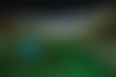 LAWN BOWLS SURROUND SIMULATOR