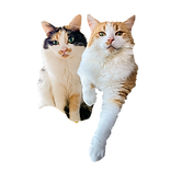 Slim and Shady .png