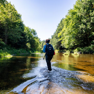 A University of Maine student wades through a stream.