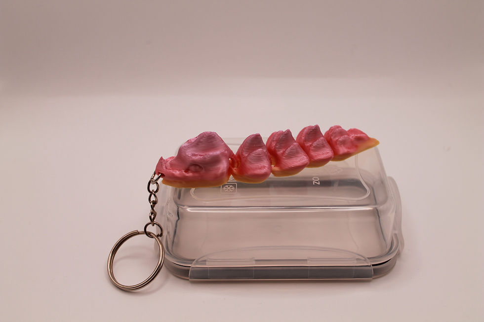 Segmentierter Schlüsselanhänger aus dem 3D Druck