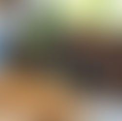 OUR FIRST MAJOR JOB!