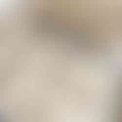 Luxury Custom Cupcake