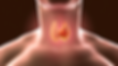 542824F9-9DB0-42DF-9C75-07747D62F2F9.PNG