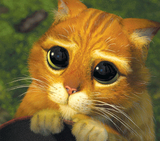 gift 4.gif