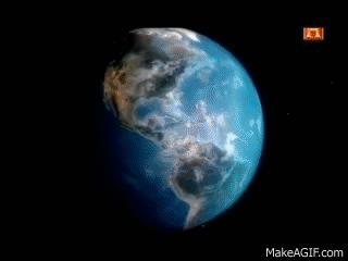 wix 2.gif