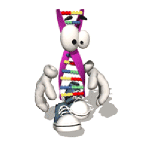 wix 6.gif