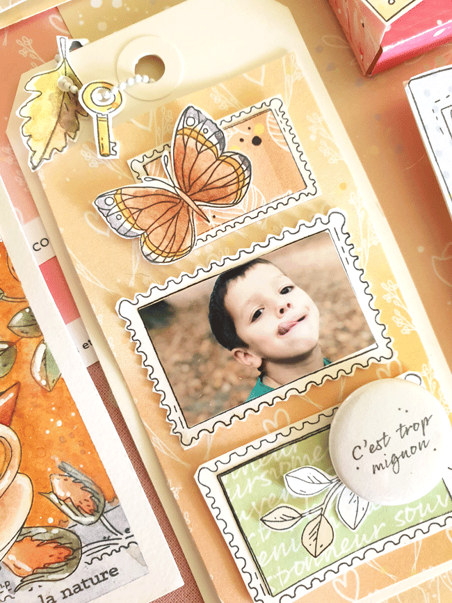 Miniature : Planche de tampons clear "Timbre et Polas"