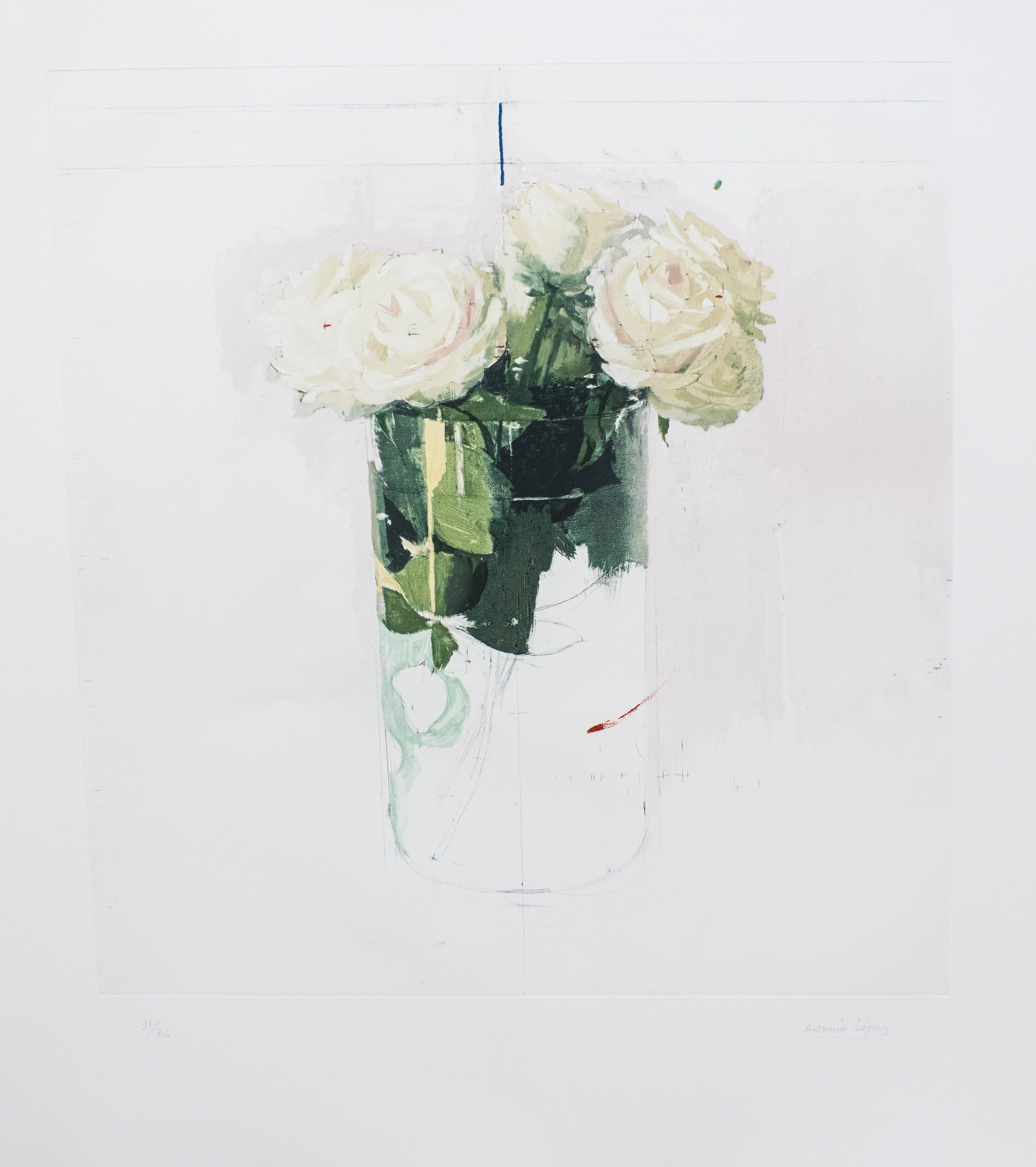 Rosas de Ávila VII