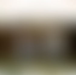 [POSTPONED DUE TO THE AFTERMATH OF HURRICANE HELENE]....IT'S (ALMOST) FALL, YALL! 🍂