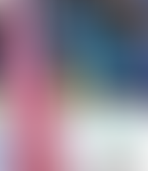 CVHS Honors Veterans with Flag Ceremony