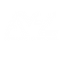 2025 07 14 - AMERZ CAPITAL SDN. BHD. - logo-03 (1).png