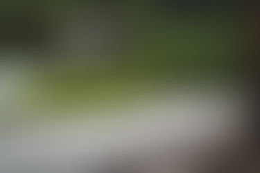 Japanische Gärten - Harmonie durch Imperfektion