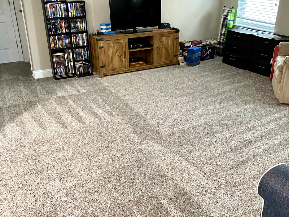 Photo carpet vacuum lines in a Jacksonville Florida home