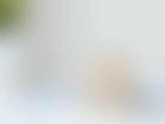 Before You Fall in Love with a House, Do This First.