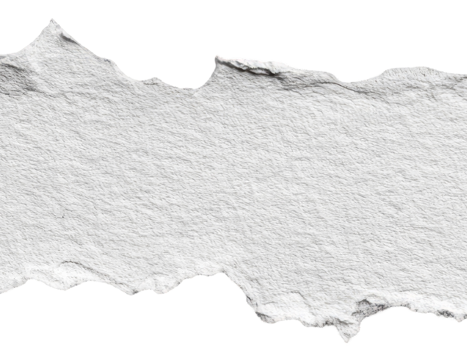 Marsai Webpage Hero Image 1920px x 1080px (3).png