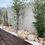 Miniature : Galets Grand Canyon