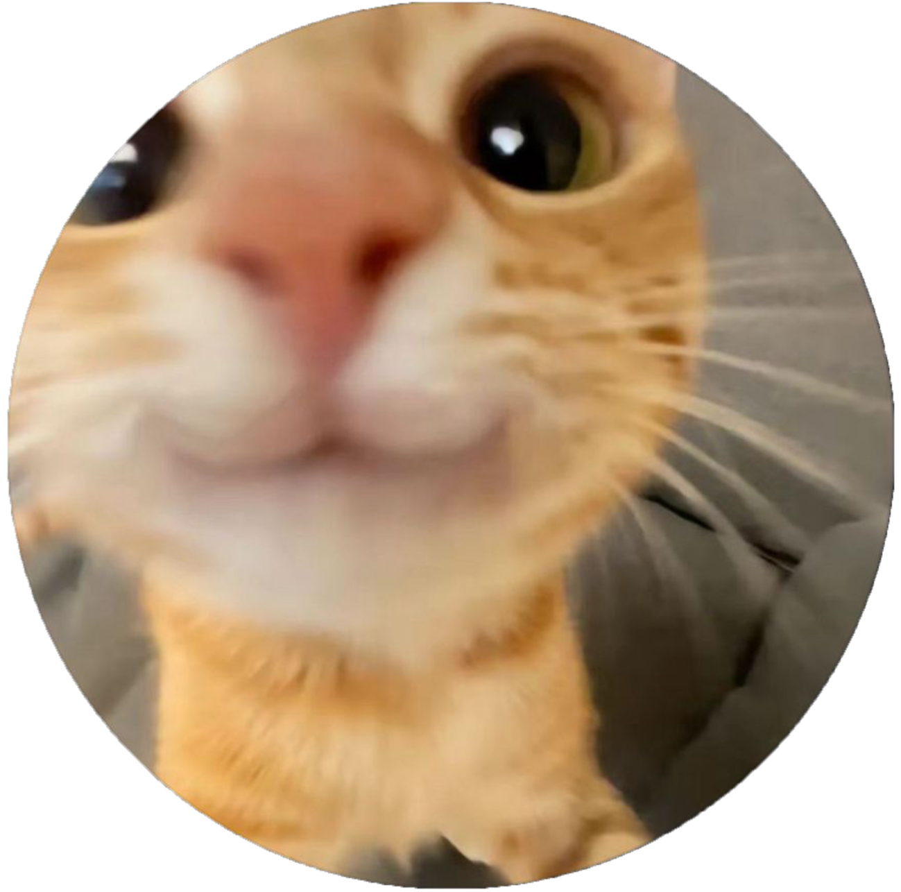 Foto 78_edited.png