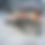 Thumbnail: 9'2" DXT-Plow