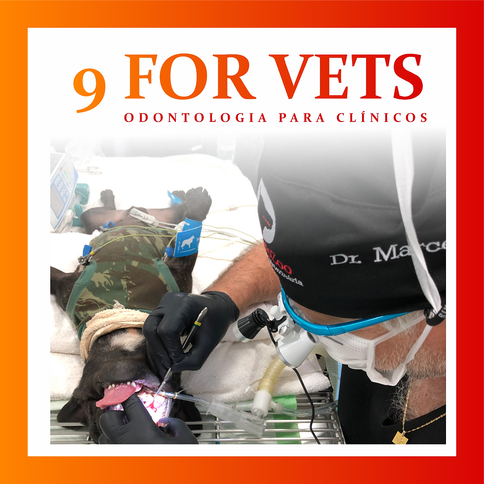 CURSO 9 FORVETS - ESPAÑOL