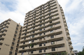 20150107_tamatebako_ec-670x443.jpg