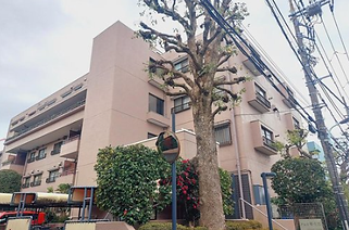 20150107_tamatebako_ec-670x443.jpg