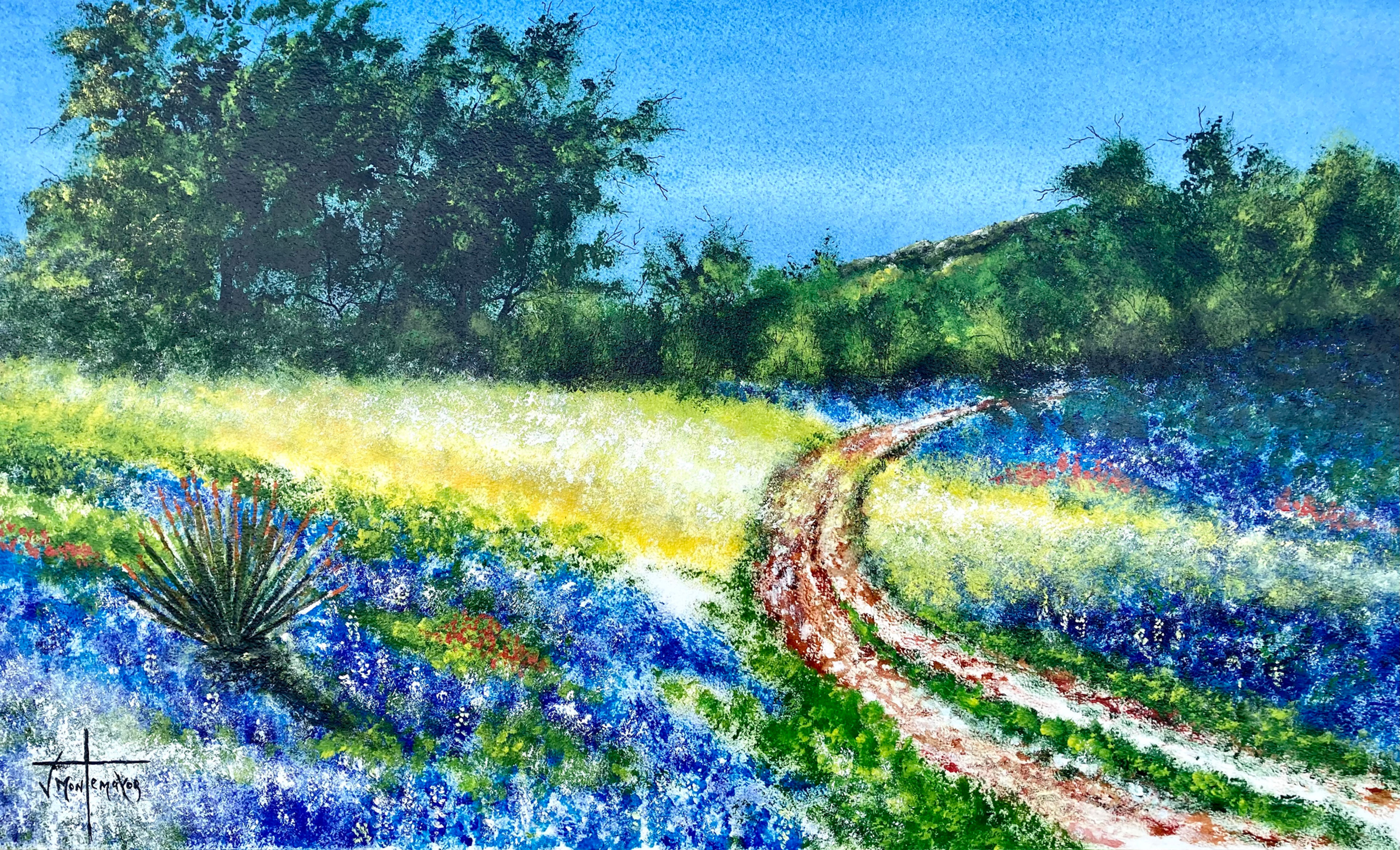 BLUEBONNET TRAIL