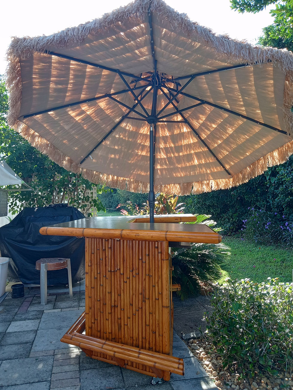 Thumbnail: The Palapa tiki bar with thatch umbrella and outdoor cover