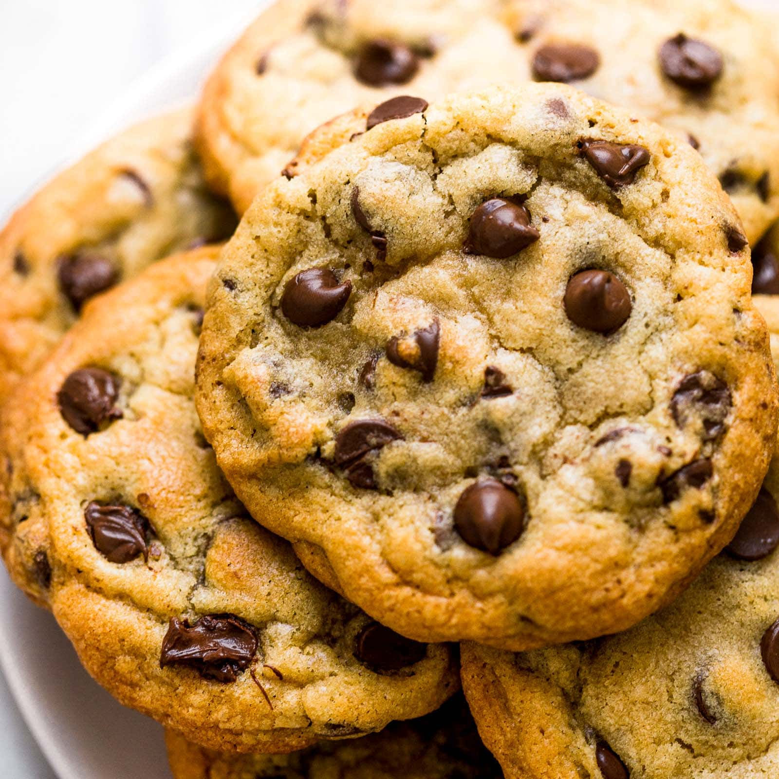 CHOCLATE CHIP COOKIE